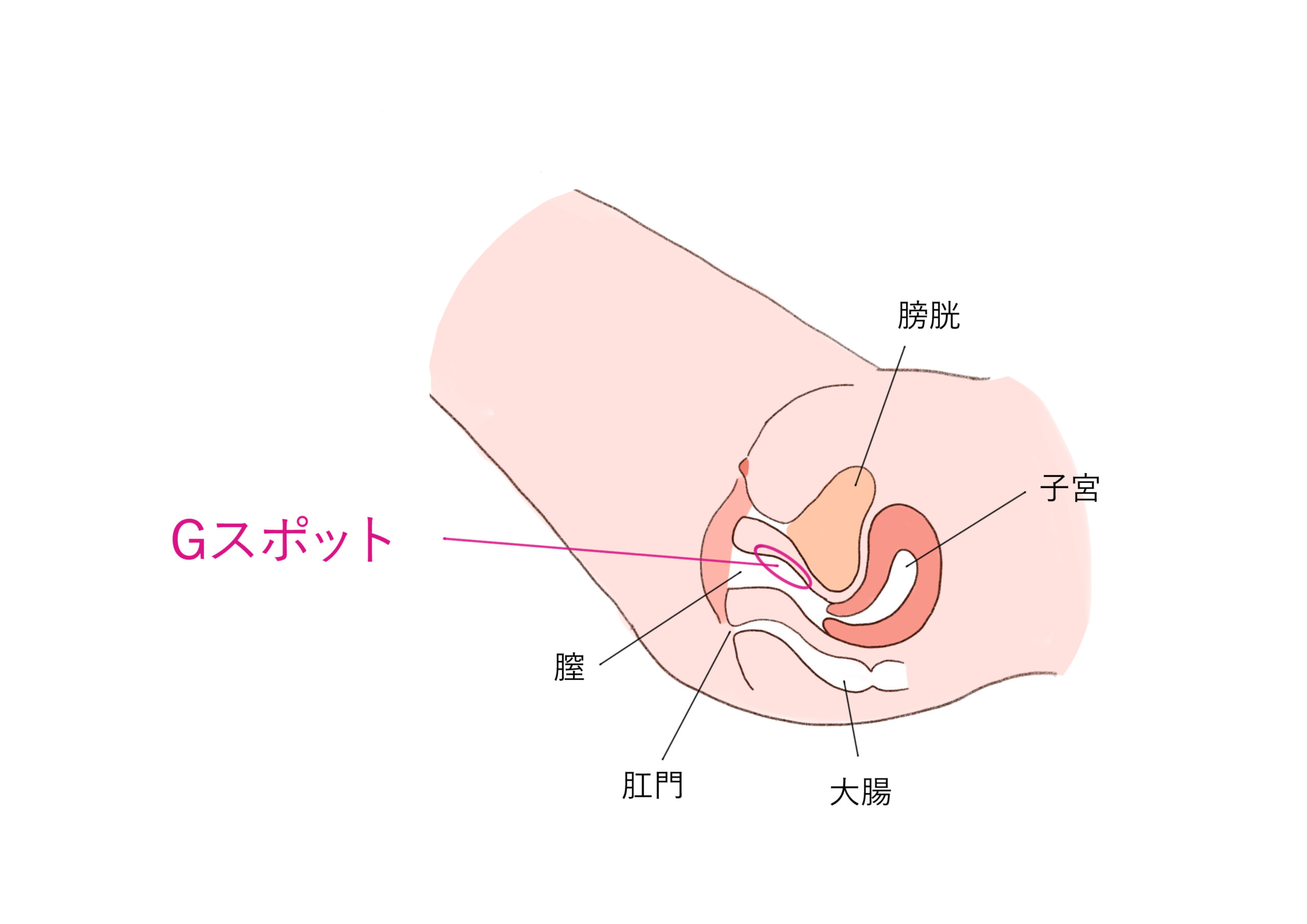 手マンの体位で気持ちいいのはどれ？各体位ごとのテクニックを伝授！｜Cheeek [チーク]