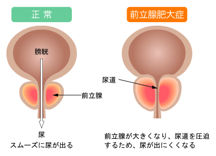 負けないでっ 【第五巻】