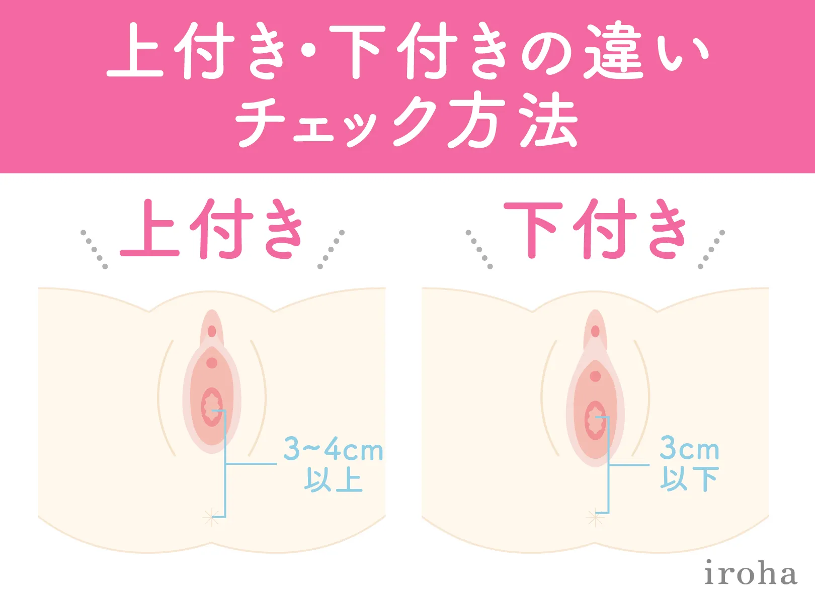 ポルチオとは？産婦人科専門医の丹羽咲江医師が子宮腟部を徹底解説します。 | 腟ペディア