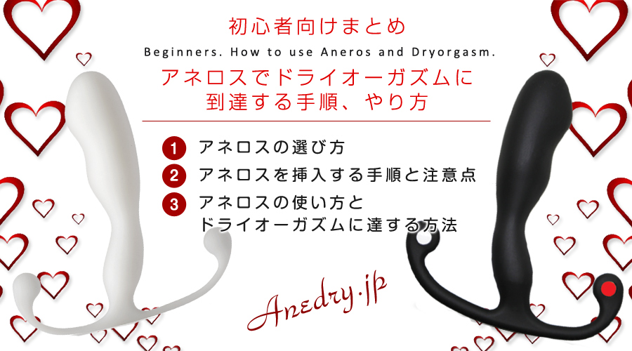 チクニー仙人流 メスイキの教科書 【ザ・チクニー】 [チクニー愛好会] |