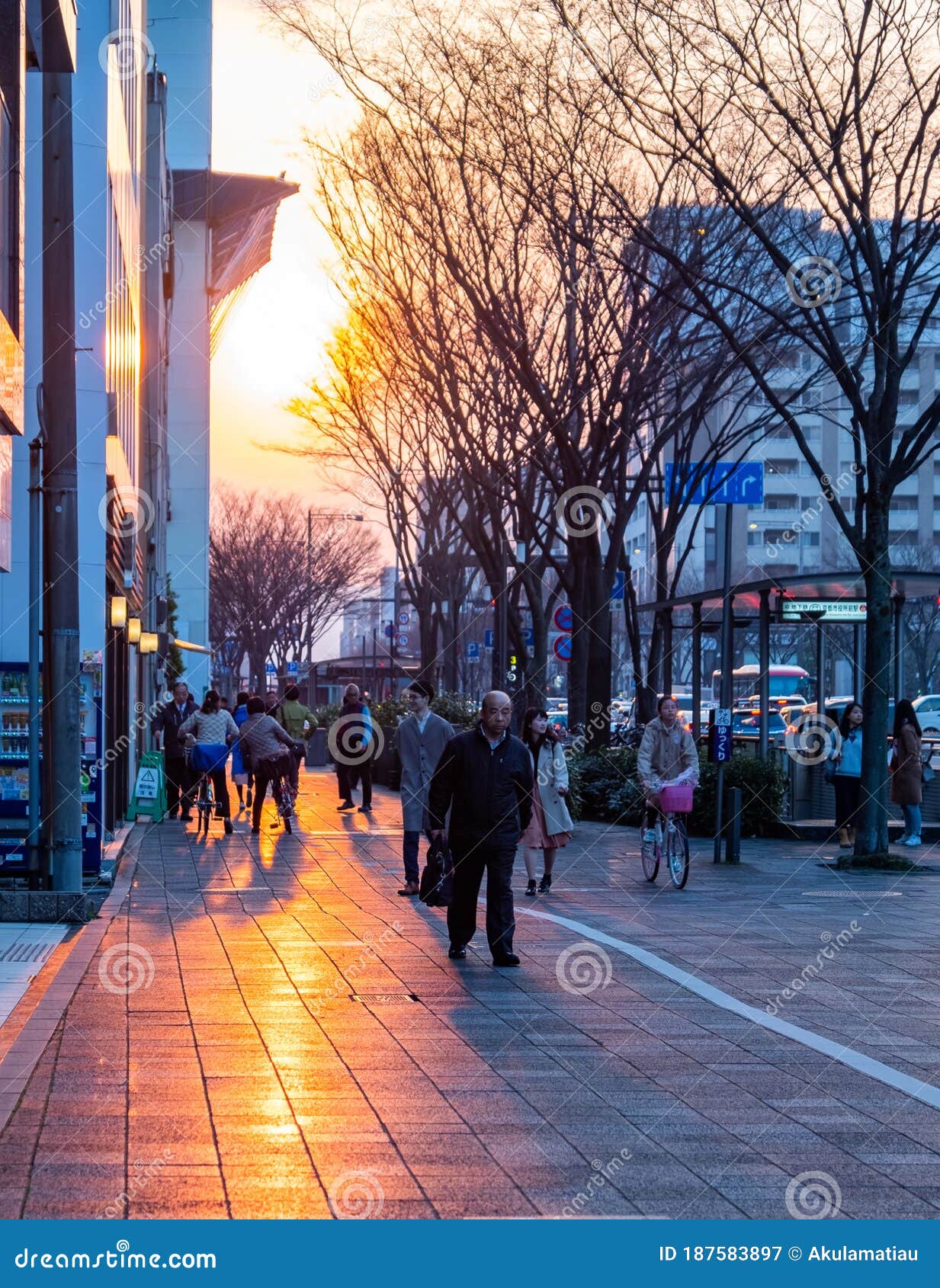 Beauty of Japan