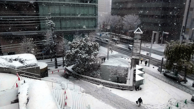 名古屋でも積雪の恐れ…東海3県は岐阜を中心に大雪 午前11時現在で白川村の積雪88cm