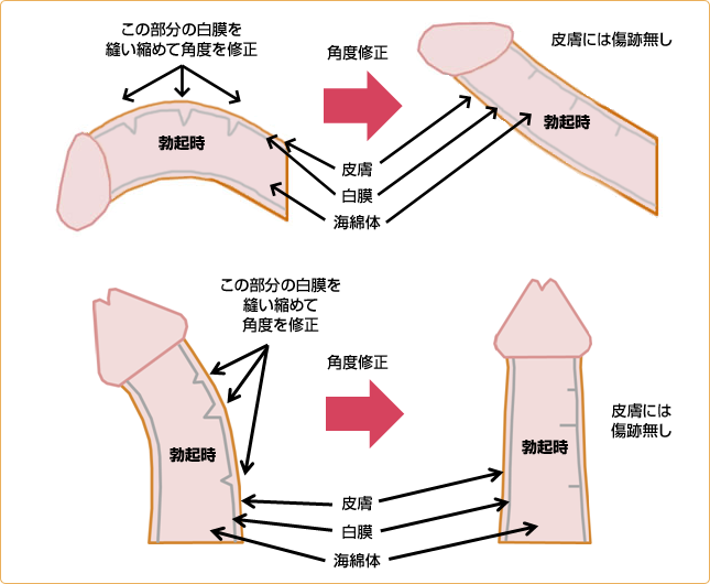 性感帯の開発方法！乳首や耳、女性器で感じるやり方とは？【快感スタイル】