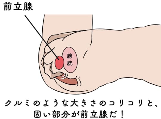 アナルオナニーのやり方まとめ。気持ちいいグッズ,道具も紹介 | モテサーフィン