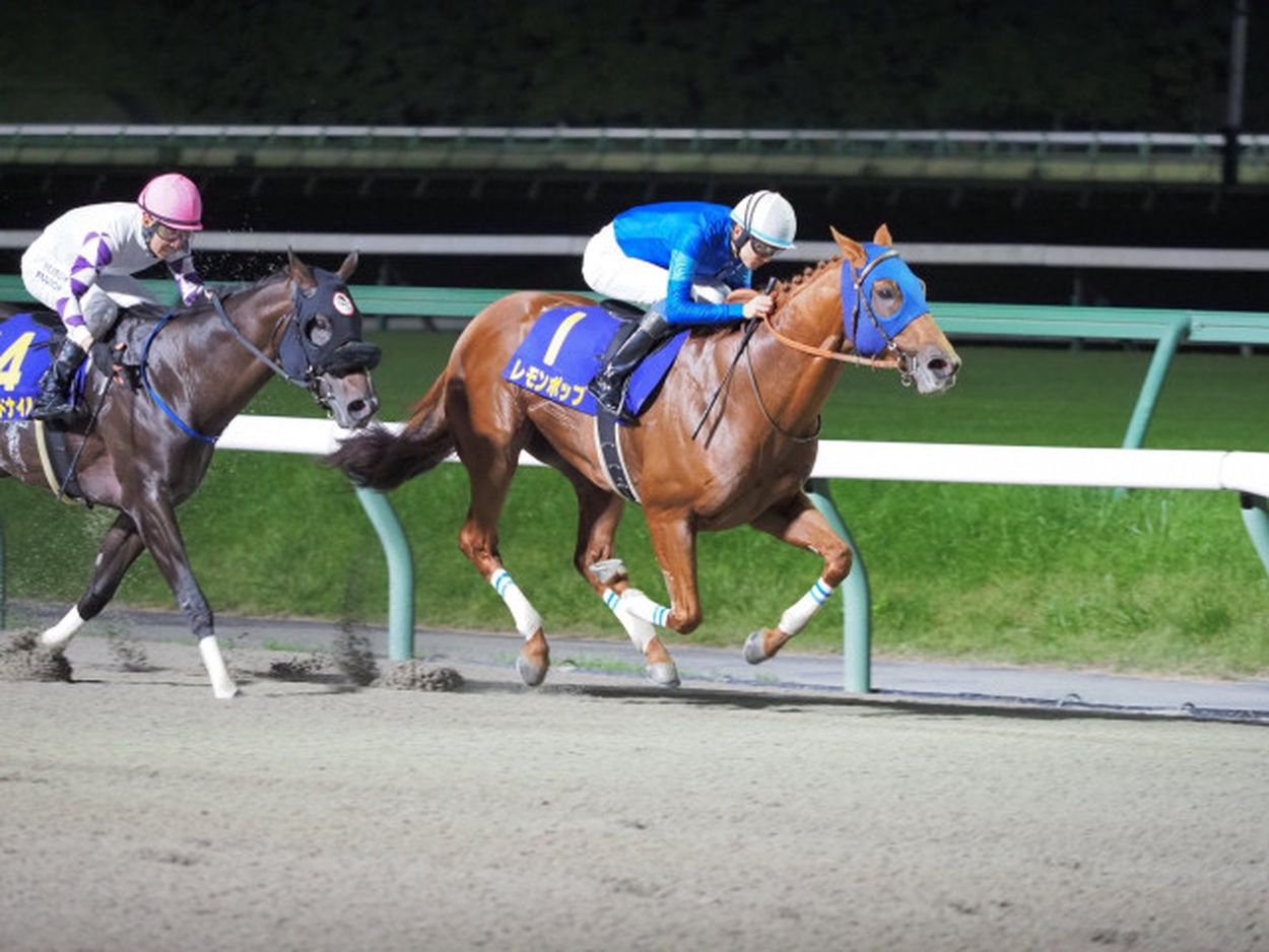 きょうは営業職として #笠松競馬秋まつり のお知らせのため「DRIVER'S REPORT」に立ち会いました。出演した吉原舞さん、2016年の第一回同イベントで、わたしと共演しています。以来、7年ぶりの再会。大人になりましたねというオジサンの感想です（笑い）。当日はわたしが