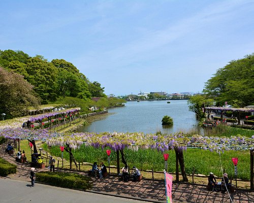 美しい夏、心を熱くする風景／藤枝市ホームページ