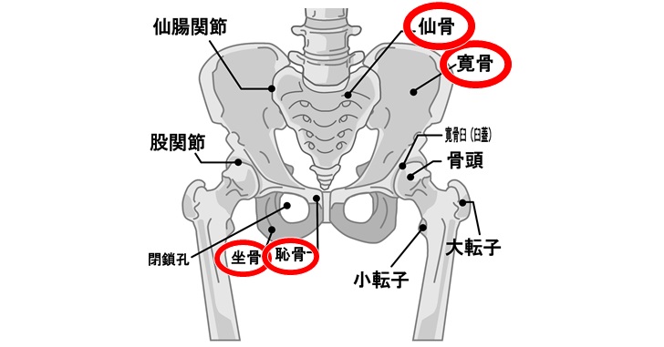 足の付け根（股関節）が痛い（あぐらがかけない）原因と改善方法