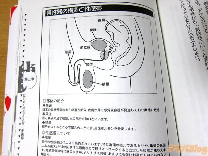 女医が教える、大人の女性のためのセルフプレジャー講座｜＠BAILA