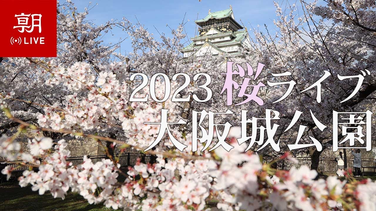 東北の桜名所〜密を避けて2021年のサクラを楽しもう〜(季節・暮らしの話題 2021年04月06日) - 日本気象協会 tenki.jp