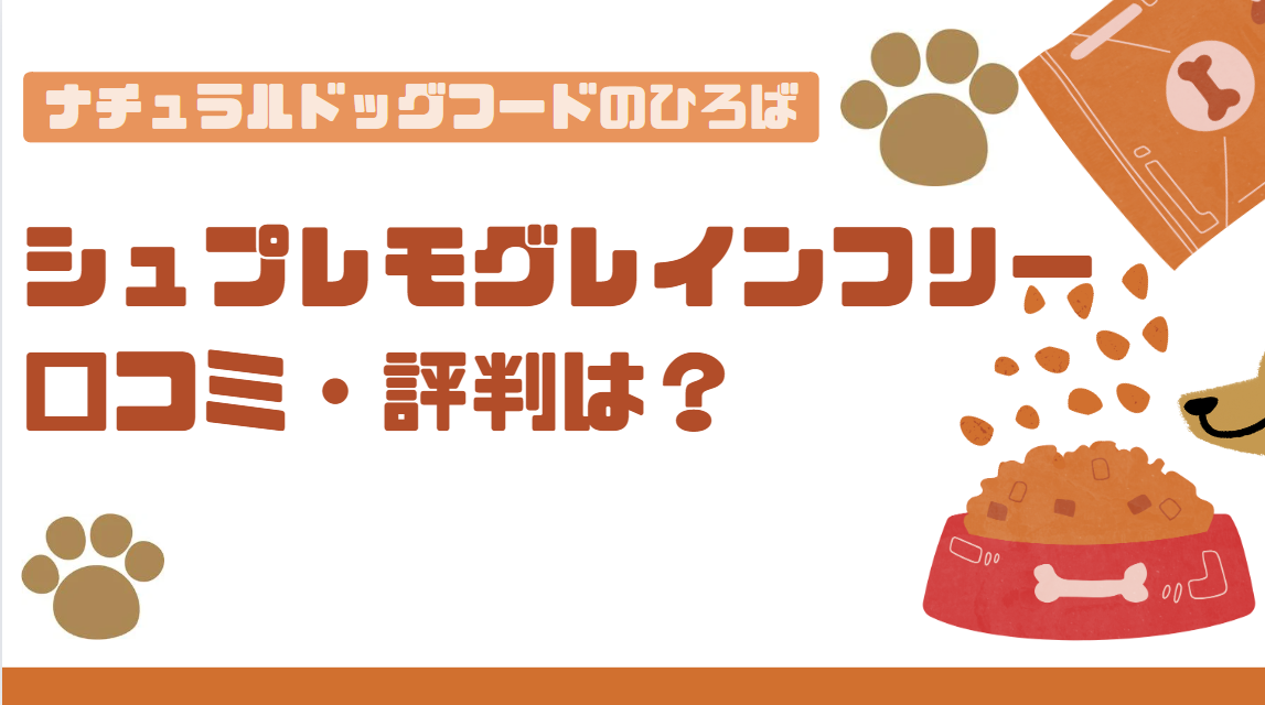 伊香保温泉×高齢者×バリアフリー｜口コミで人気の温泉宿・旅館！2024年のおすすめ13選 | お湯たび