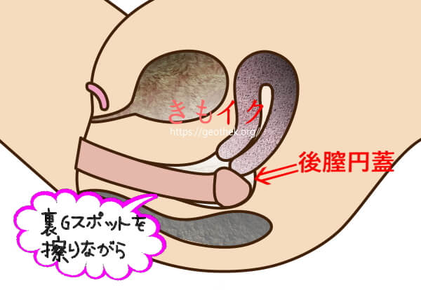 女性向け】杭打ち騎乗位テクニック完全図解版！ | セクテクサイト