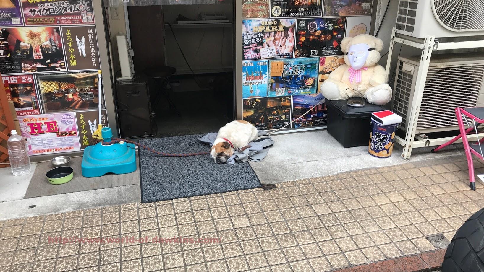 入店理由は稼げそうだったから！店長さんがとにかく面白い！ Blue Moon｜バニラ求人で高収入バイト