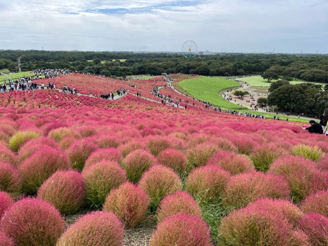 最新】熊谷のオナクラ・手コキ風俗ならココ！｜風俗じゃぱん