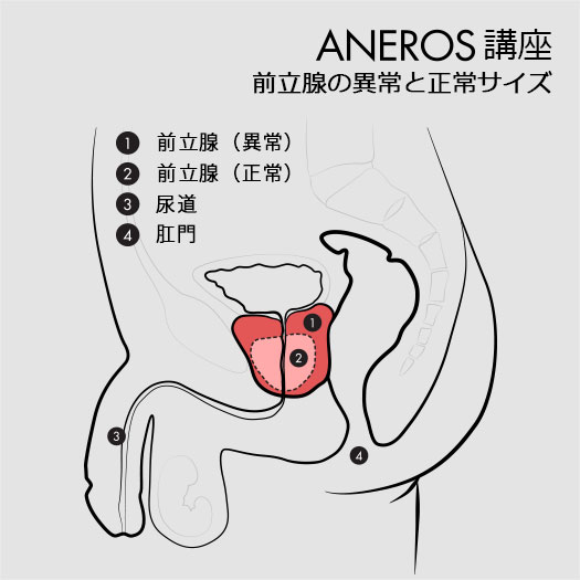 空間認識能力と、絶対に外さない前立腺マッサージ&亀頭責めは、前立腺開発の必須科目！の巻 : †