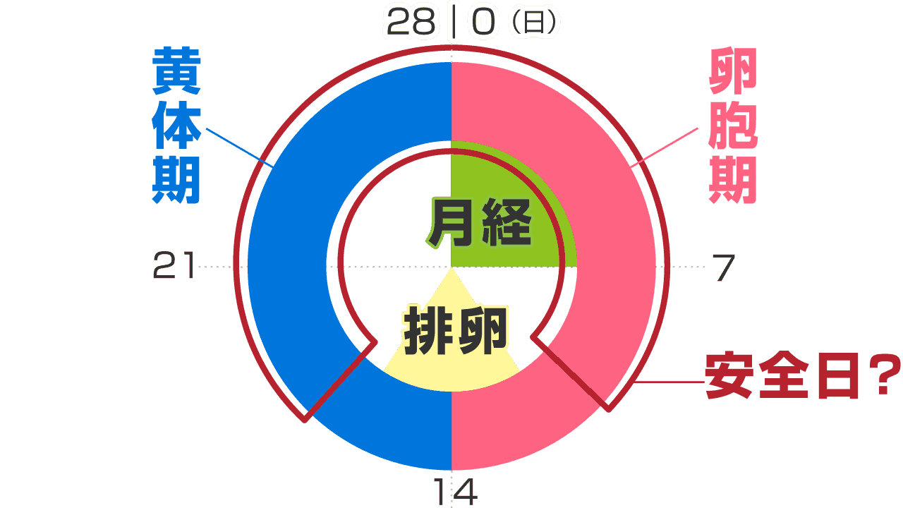 やっと出来たセフレに中出ししたったｗｗ