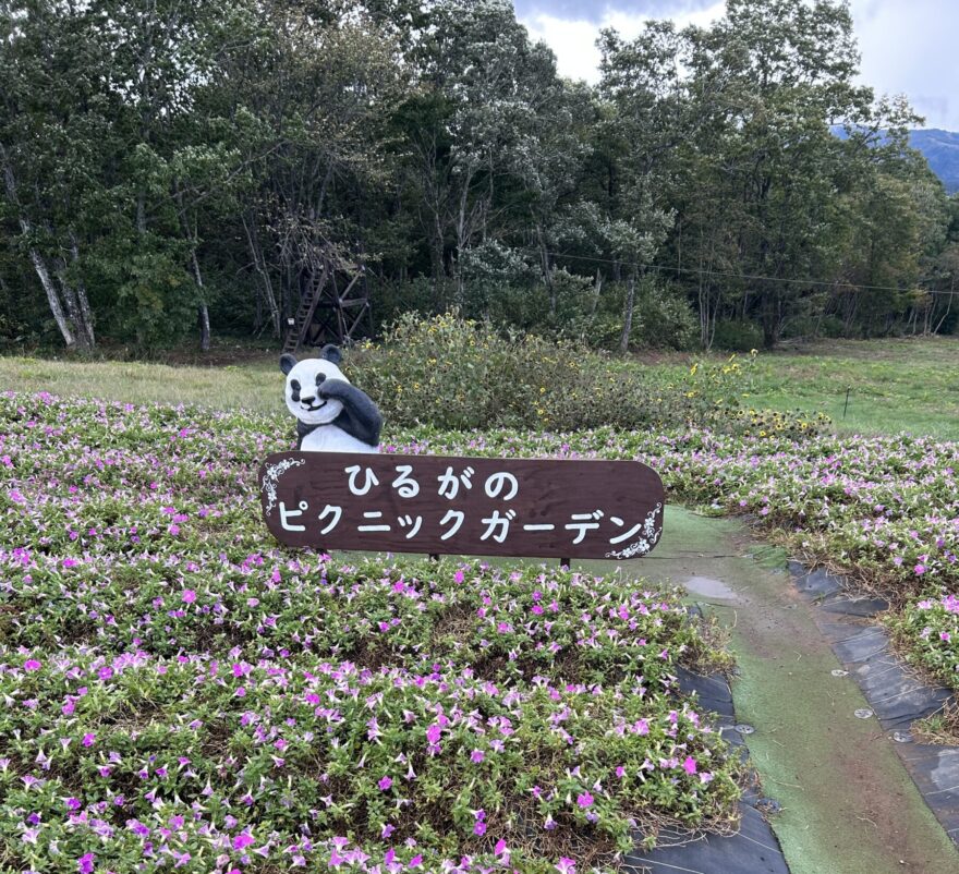 名古屋港水族館前花壇の植栽R5.7.10 - 公益財団法人 名古屋港緑地保全協会