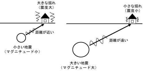 腸内細菌叢のお話し 犬と猫で違いはある？ - つだ動物病院 |