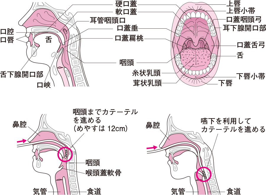 セックステクニックで女性を本当に気持ちよくする基礎知識【男性向け】－AM