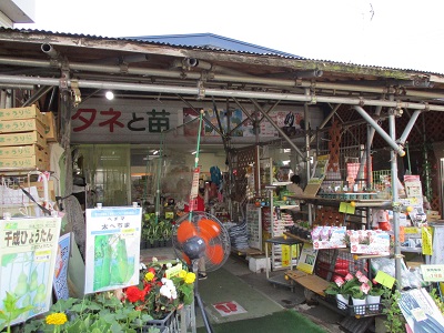 原生花園あやめケ原 - 北海道の観光情報ならUU