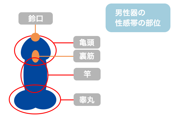 角質の若い男自慰行為 - 大声でうめき声オーガズム