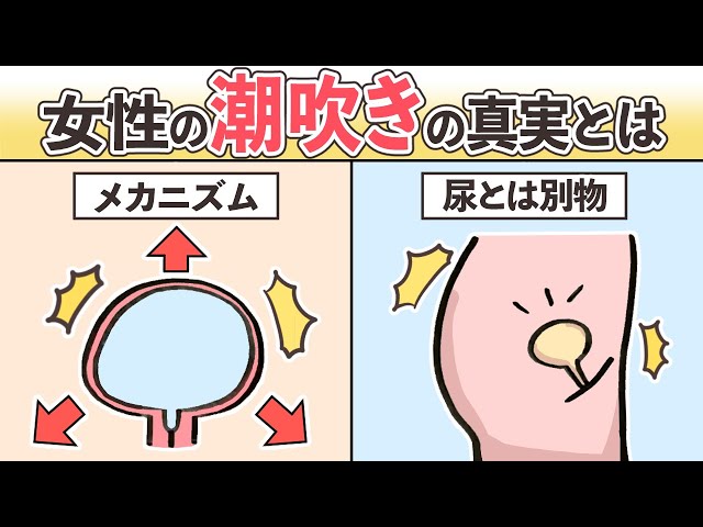 女性の潮吹きのやり方！コツと練習方法 - 夜の保健室