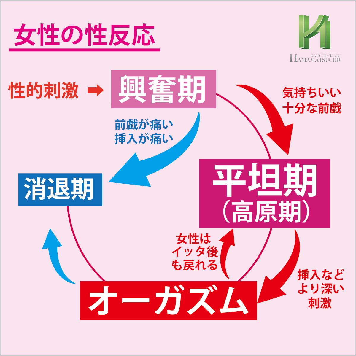 勃起と射精のメカニズム ｜ 男性不妊・メンズヘルス診療 プライベートケアクリニック東京