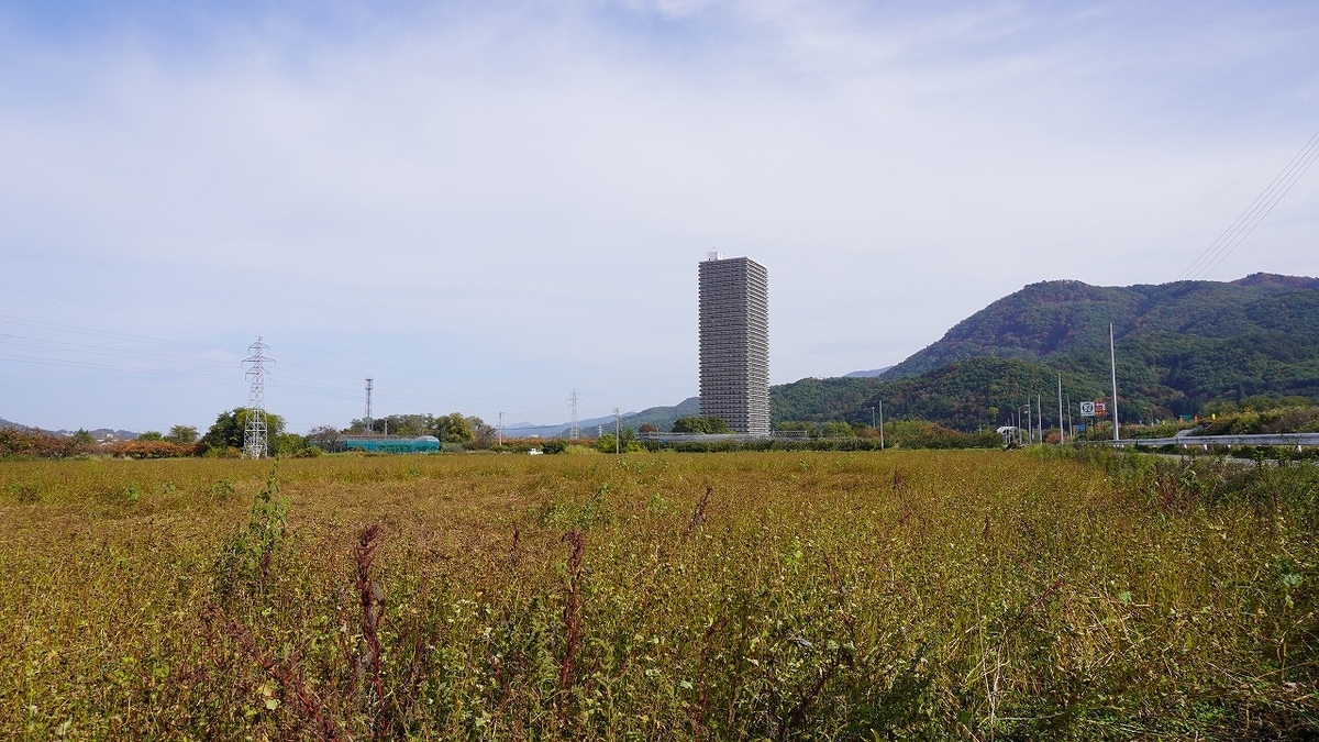 これが山形ドリーム。畑の中にそびえ立つ「スカイタワー41」 - ゆに昆布