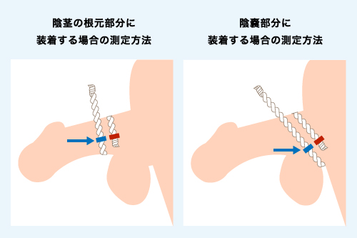 コックリング（ペニスリング）の使い方は？注意点や素材ごとの特徴も解説 |【公式】ユナイテッドクリニック