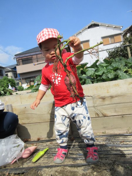 投稿レポ【上野セクキャバ 】おいも学園「あんじゅ」〜三人目に現れたFカップ指舐め嬢とVIP席で延長の末…〜 | 風俗情報.com