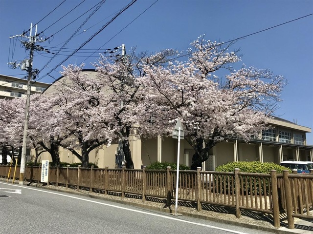 滋賀県立 彦根翔西館高等学校