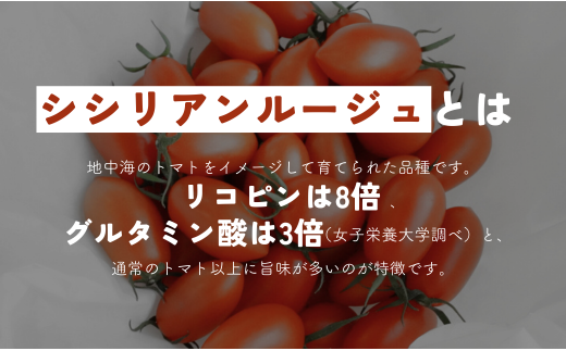 ラ ポルト ルージュ：物件情報 | 千葉県市原市／ホームメイト