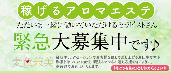 岩手県北上市 エステサロン メビウス