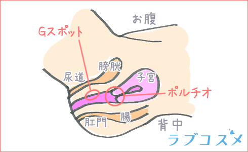 騎乗位の動き方のコツ！気持ちいい腰の動かし方 - 夜の保健室