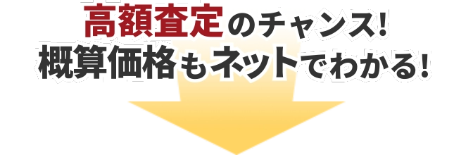 先発後発シアリス比較の通販：1個あたり6,474円～【最安値】ネット総合病院