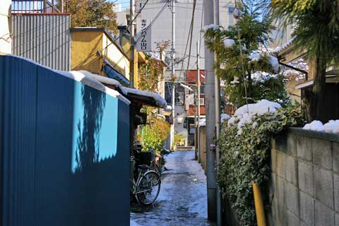 大栄橋 〜 色と生の斜交い｜えっぐらす