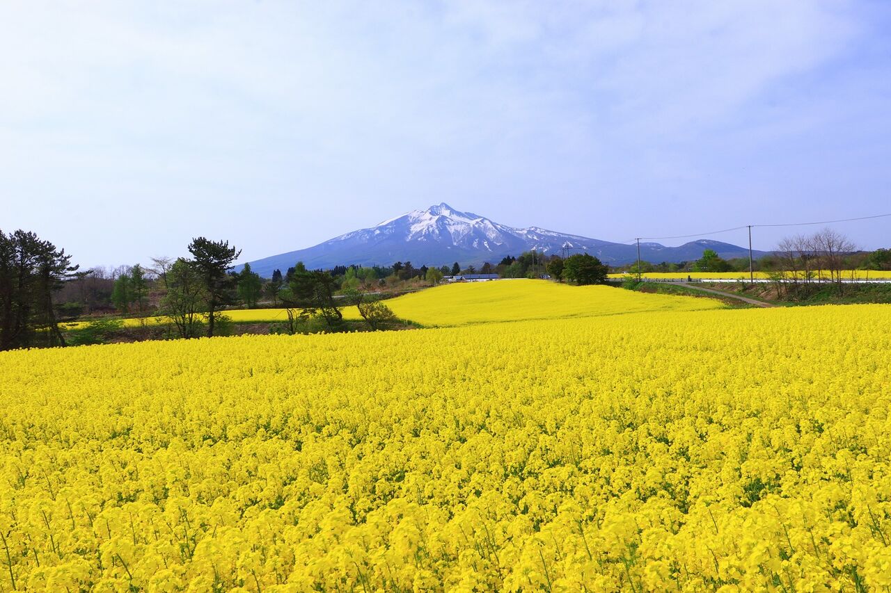 ホテルグランメール山海荘(西津軽郡)のデリヘル派遣実績・評判口コミ[駅ちか]デリヘルが呼べるホテルランキング＆口コミ