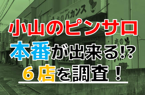 栃木・小山市のおすすめピンサロ・人気ランキングTOP2【2024年最新】 | Onenight-Story[ワンナイトストーリー]