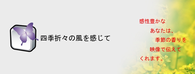 2024年5月28日(火)21時からNornis公式YouTubeチャンネルにて「Deep Forest」のミュージックビデオを公開！ |  ANYCOLOR