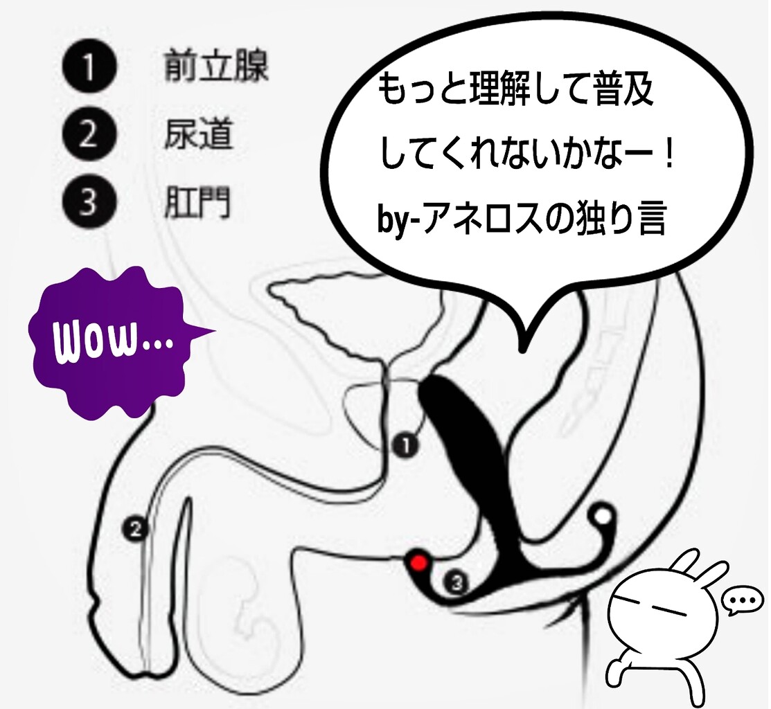 いやらしい彼女に乳首と前立腺をねっとり焦らし責めにされ、ペニスに一切触れてもらえないまま空になるまで射精させられる』(淫乱テディベア) - 