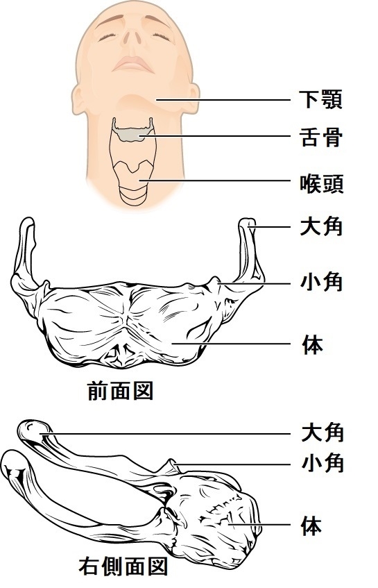 大阪府の方言「いらち」はどんな意味？ 使ったことがある人もいるかも？ 【方言クイズ】(2/2) - All