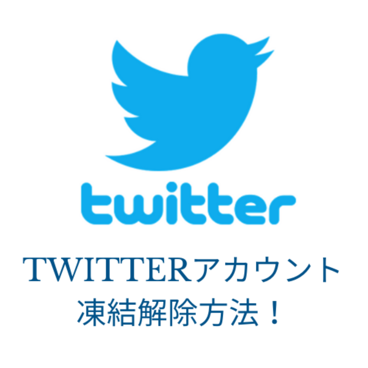 【最新版】X（Twitter）のセンシティブな内容を解除する方法