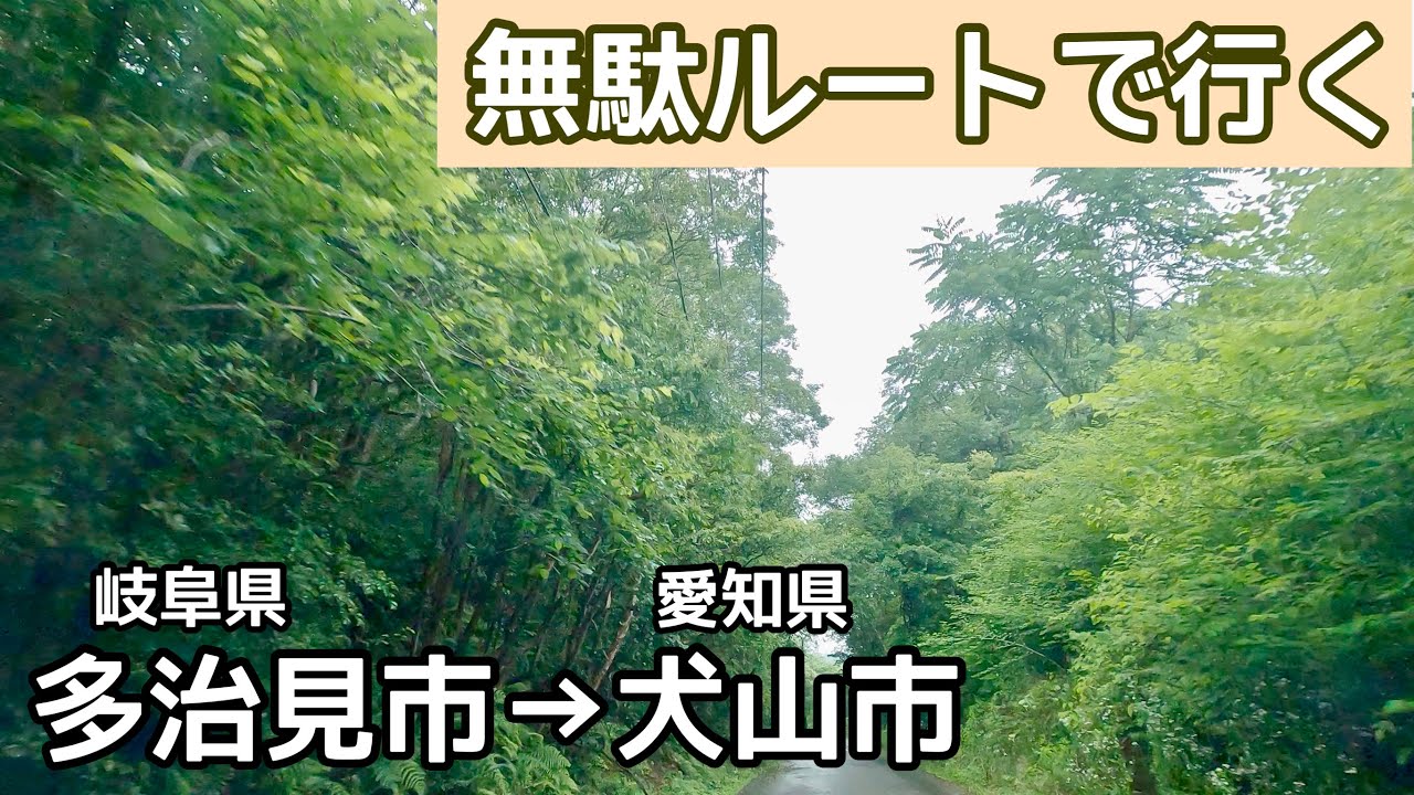 多治見市】今、見ておきたい！ 幻想的な景色に感動 生田公園の紅葉のライトアップは18日まで！（masancos） -