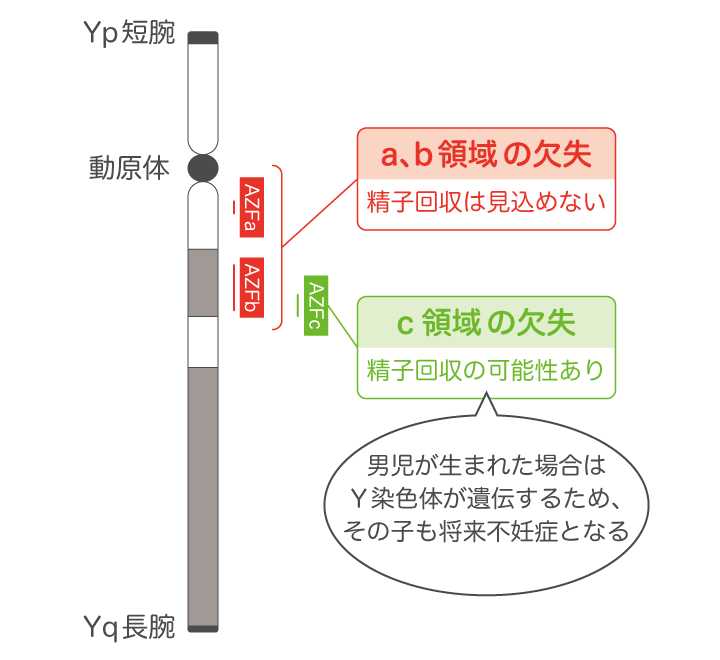 2014.二人目妊活㉗ 3回目の精子検査に望みをかける : ぱんをたずねて2000里ちょい