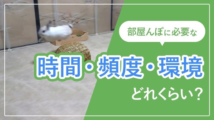 うさぎのお部屋 うさぎと暮らすのインテリア実例 ｜ RoomClip（ルームクリップ） |