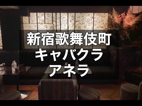 アネラキョウト | anela