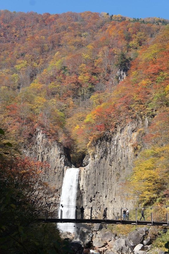 森のログホテル カムループス【JTB】＜飯山・斑尾高原（長野県）＞