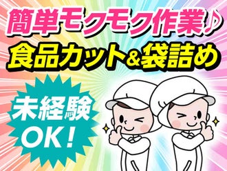 北海道の風俗求人｜高収入バイトなら【ココア求人】で検索！