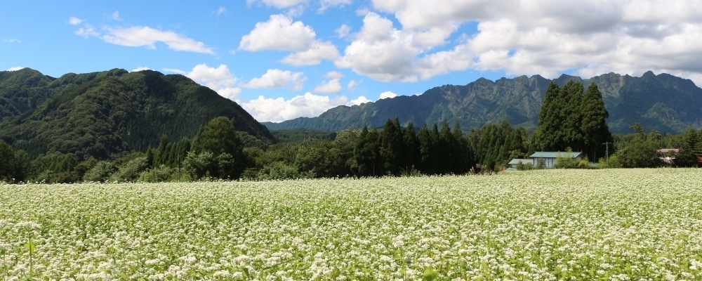 おやきと蕎麦だけじゃない！ 長野市の地元民が全力でオススメする観光スポット10選 - イーアイデム「ジモコロ」