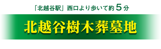 アットホーム】グラン・ドムール北越谷 3階 ２ＬＤＫ[1000929995]越谷市の中古マンション｜マンション購入の情報