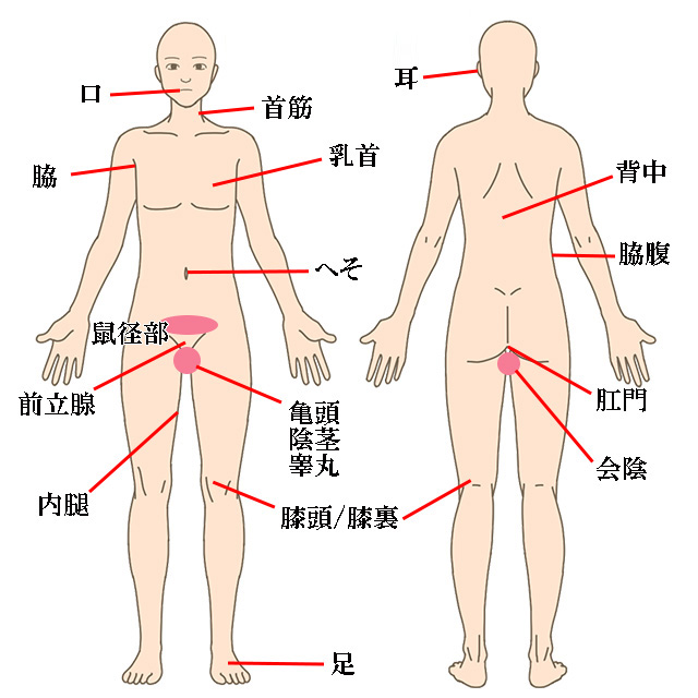 男性が気持ちいい攻め方！満足させる方法 - 夜の保健室